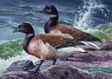 birds Oil Painting - birds on rock seaside